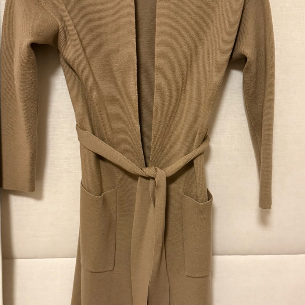 Wilfred Cozy Tan Long Sleeve Dress - Picture 6 of 14